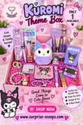 Kuromi Theme Box